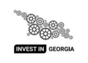 Invest in Georgia